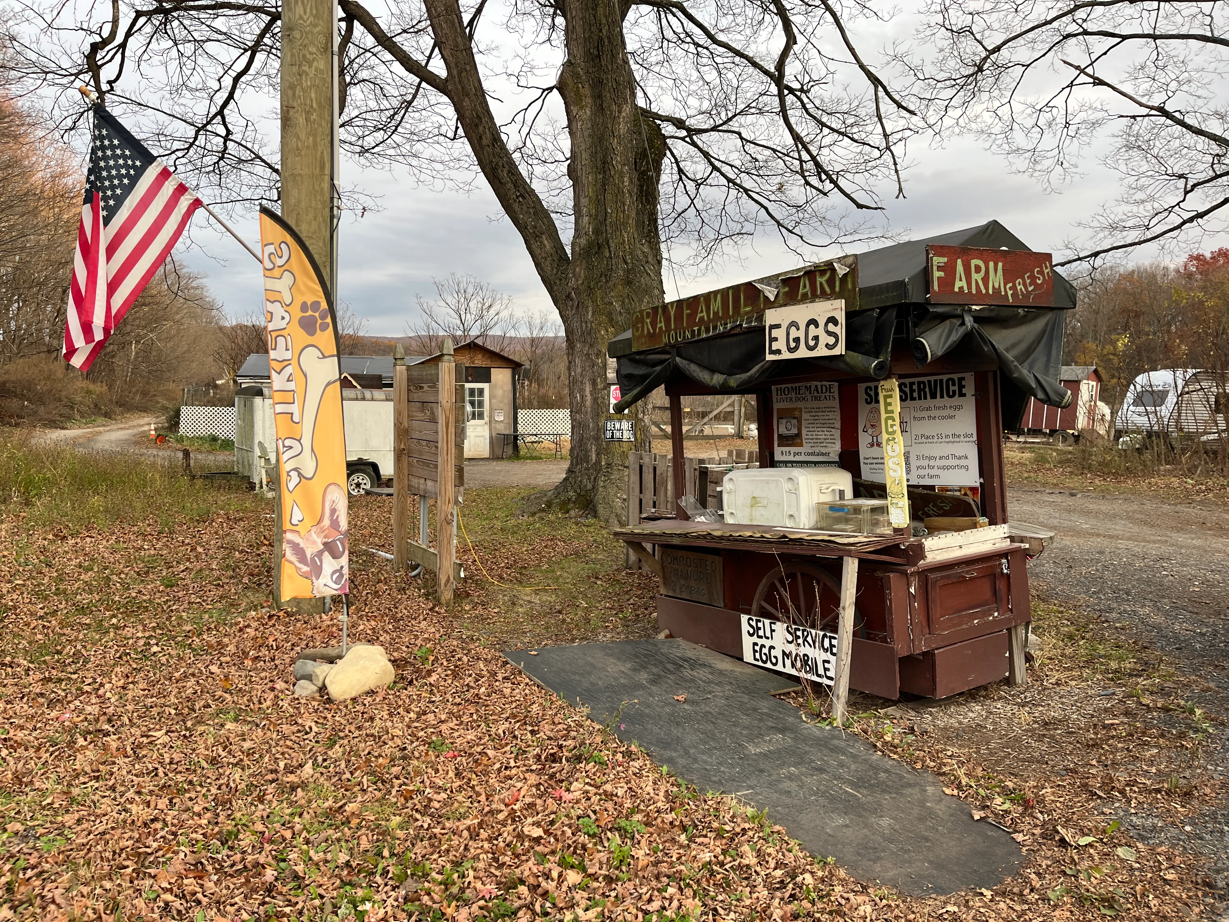 Gray Family Farm self-serve eggmobile stand with farm-fresh eggs