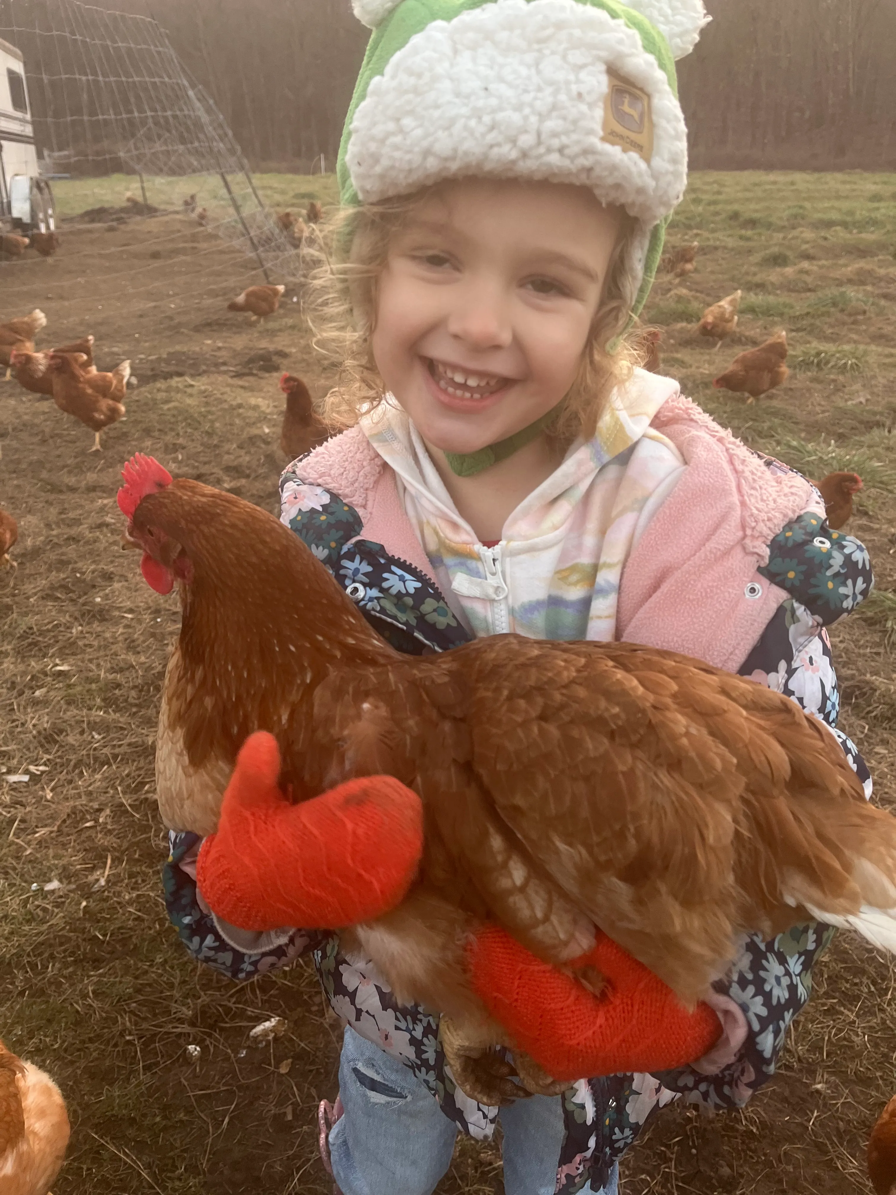 A young girl holding one of the farm's friendly chickens